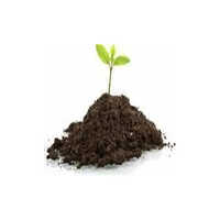 Soil Nutrients - 98% Pure Organic Fertilizer Emulsifiable Concentrate, Optimal Plant Growth Enhancer And Soil Nourishment Solution