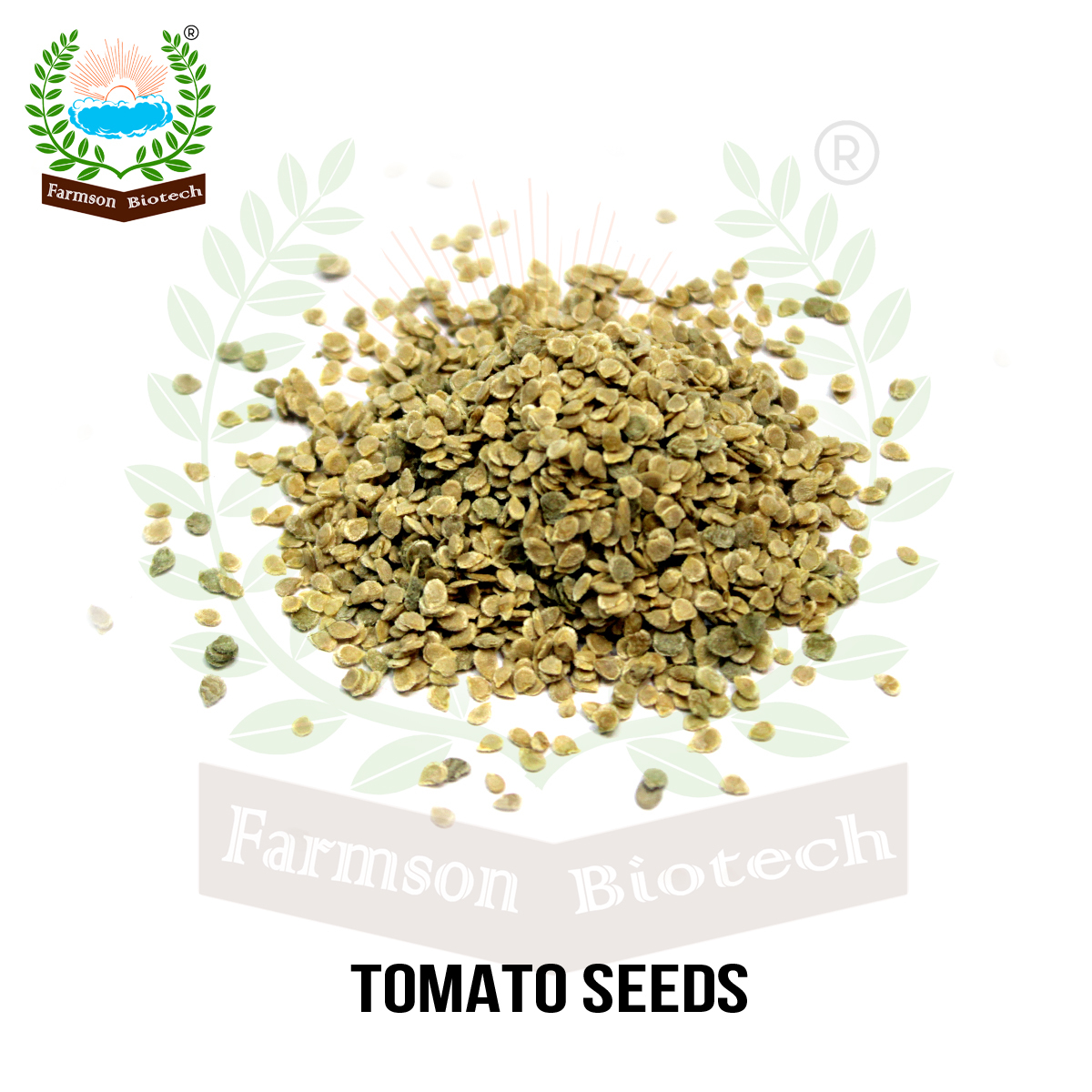 Cherry tomato seeds FB-Red pearl round Hybrid F1
