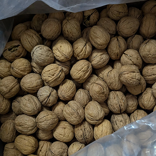 पूर्ण अखरोट