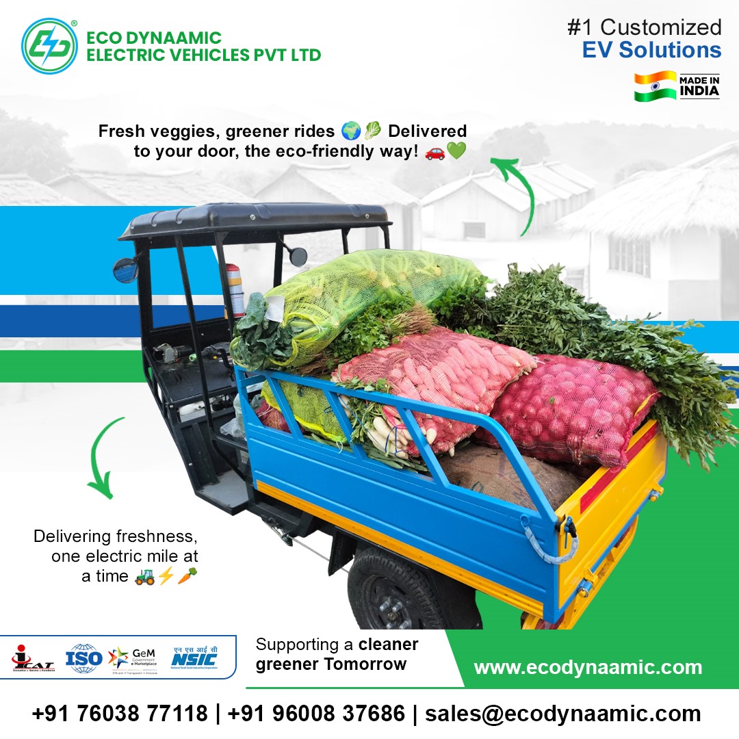 Electric Rickshaw Loader - Battery Life: 3 Years