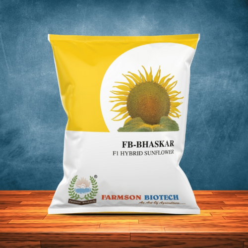 Hybrid Sunflower Seeds For Agriculture -Bhaskar F1 - Cultivation Type: Common
