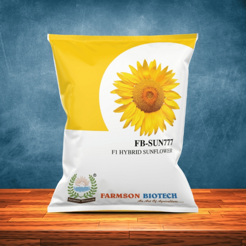 Black Sunflower Seeds -Sun 777 Hybrid F1 - Cultivation Type: Common