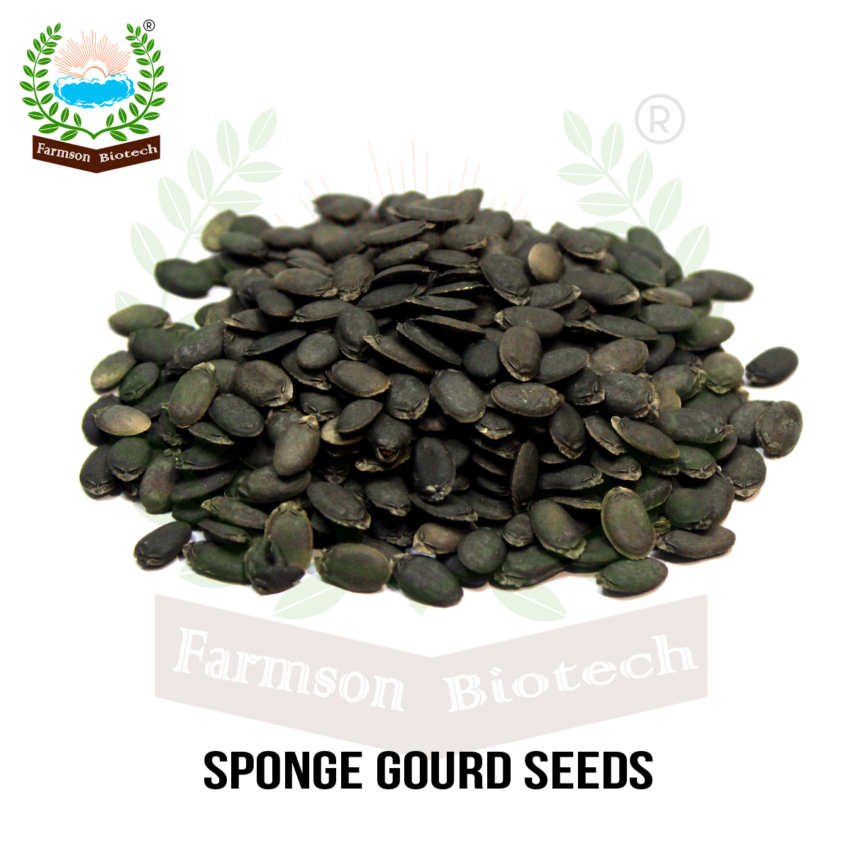Dark Green Sponge Gourd Seeds Fb-prabhas F1 Hybrid - Cultivation Type: Common