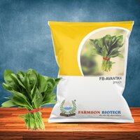 Organic Spinach Seeds Fb-avantika - Color: Dark Green