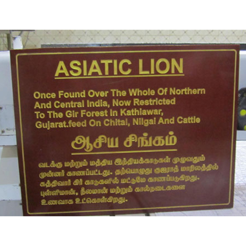 Promotional Activity Sign Board