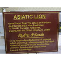 Promotional Activity Sign Board