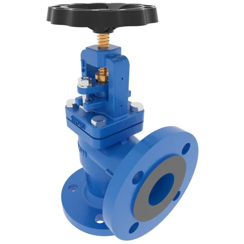 Angle Globe Valve