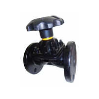 Diaphrgm Black Valve