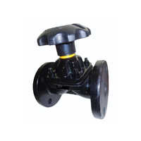 Pneumatic Diaphragm Valve