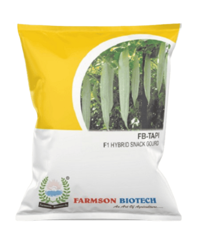 Snack Gourd Vegetable Seeds -Tapi F1 Hybrid - Color: Whitish