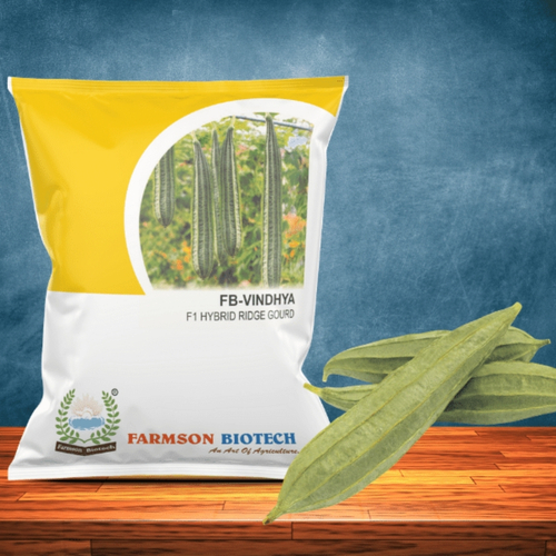 Turai Ridge Gourd Seed -Vindhya F1 Hybrid - Color: Light Green