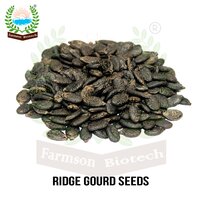 Turai ridge gourd seed FB-Vindhya F1 Hybrid