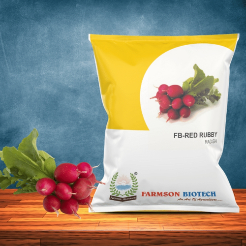 Radish Vegetable Seed -Red Rubby - Color: Red