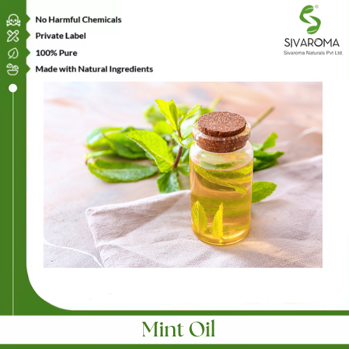 Mint Oil - Pure Essential Oil, Clear To Pale Yellow Liquid, Strong Fresh Minty Aroma | 100% Purity, Cooling Effect, Versatile Applications In Pharmaceuticals And Personal Care