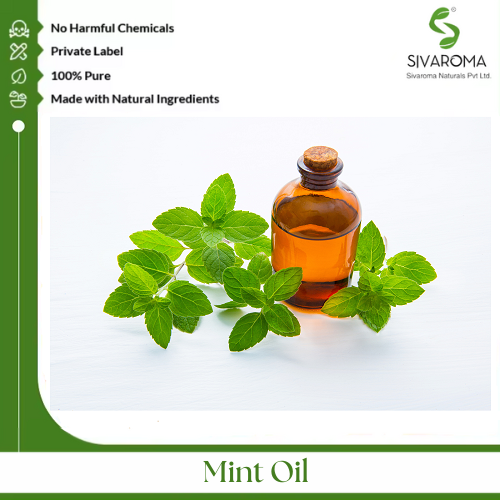 Mint Oil - Pure Essential Oil, Clear To Pale Yellow Liquid, Strong Fresh Minty Aroma | 100% Purity, Cooling Effect, Versatile Applications In Pharmaceuticals And Personal Care