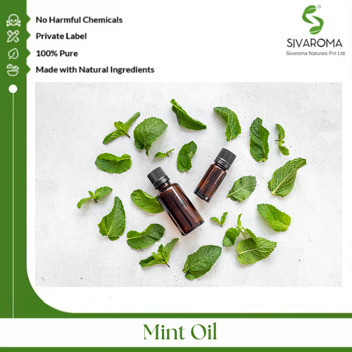 Mint Oil - Pure Essential Oil, Clear To Pale Yellow Liquid, Strong Fresh Minty Aroma | 100% Purity, Cooling Effect, Versatile Applications In Pharmaceuticals And Personal Care
