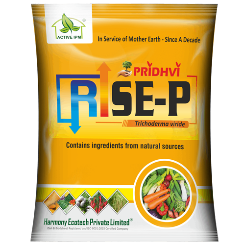 Rise-P Microbial Bio Inoculants