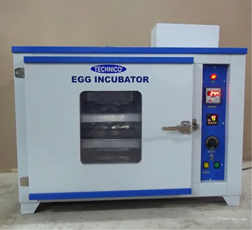 Egg Incubator 50 Eggs without Humidity Control