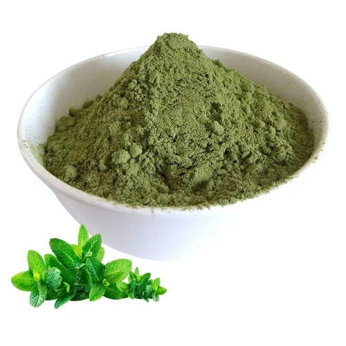 Mint Marinade Marinade Seasoning - Product Type: Fresh