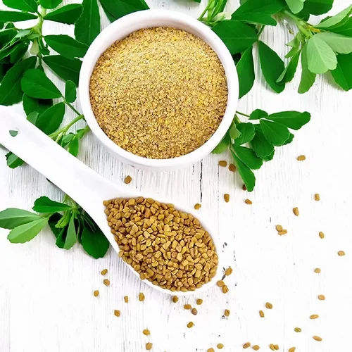 Fenugreek Seed Powder - Product Type: Fresh