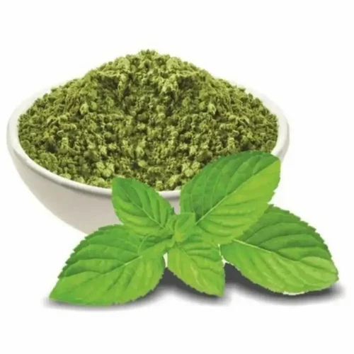 Dried Mint Leaf Powder - Product Type: Fresh