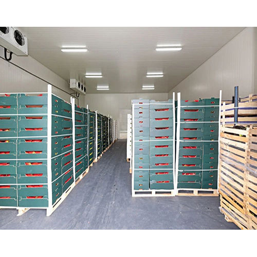 Vegetables Fruits Cold Storage Room - Color: White