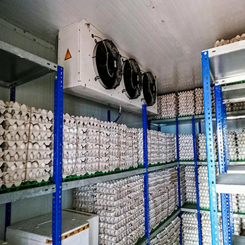 Egg Cold Storage Room