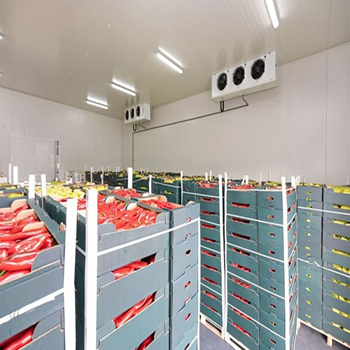 20T Cold Storage Room - Color: White