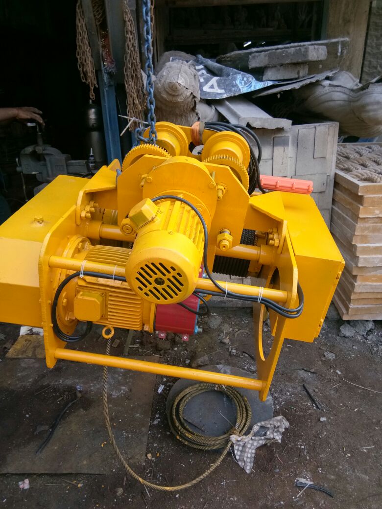 Eelctric Wire Rope Hoist
