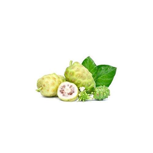 Morinda Citrifolia