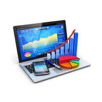 Online Tally Accounting Software