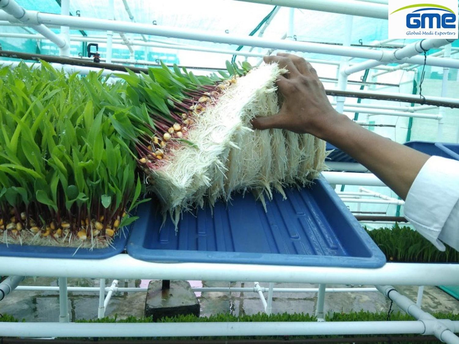 Agricultural Tray