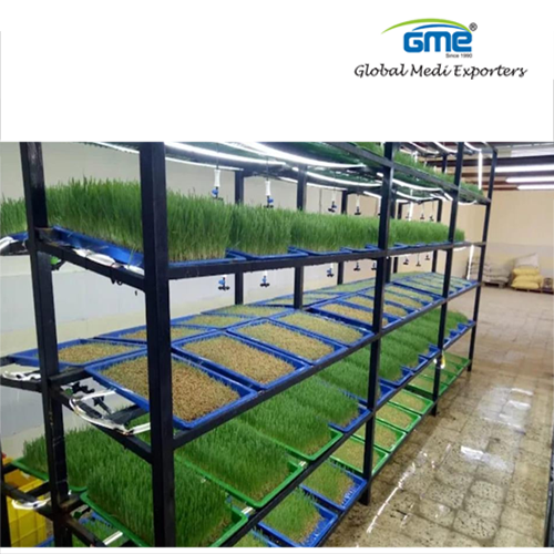 Polypropylene Hydroponic Tray - 24"x2" Lightweight Rectangle with 24 Holes for Fodder Production | Durable Material for Agricultural Use