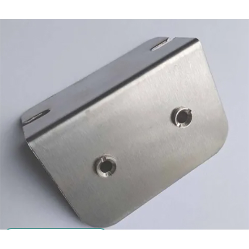 Stainless Steel Common Ground Point 2 Pin