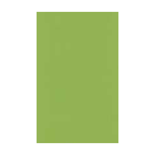 8306 Hina Compact Laminate - 2mm Thick Mica Wood Paper | Glossy Green Wall Decoration, Scratch and Moisture Resistant