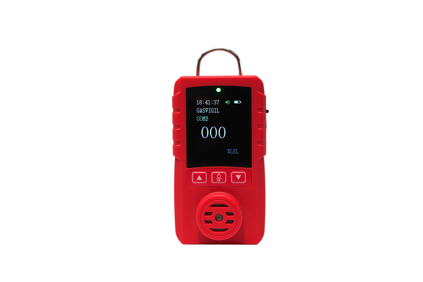 Portable Gas Detector