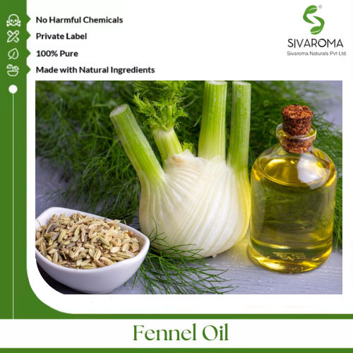 Fennel Oil - Pure Essential Oil, Clear To Pale Yellow Liquid | 100% Purity, Extracted From Foeniculum Vulgare Seeds, Aromatic Digestive Aid, Ideal For Skincare And Wellness Applications