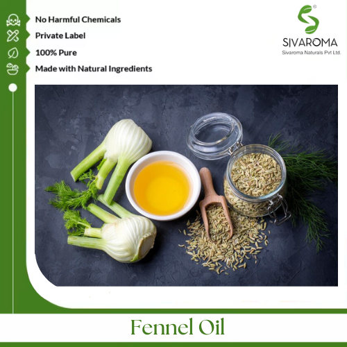 Fennel Oil - Pure Essential Oil, Clear To Pale Yellow Liquid | 100% Purity, Extracted From Foeniculum Vulgare Seeds, Aromatic Digestive Aid, Ideal For Skincare And Wellness Applications