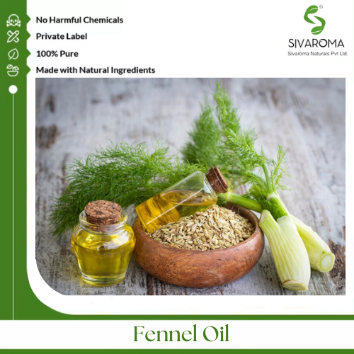 Fennel Oil - Pure Essential Oil, Clear To Pale Yellow Liquid | 100% Purity, Extracted From Foeniculum Vulgare Seeds, Aromatic Digestive Aid, Ideal For Skincare And Wellness Applications