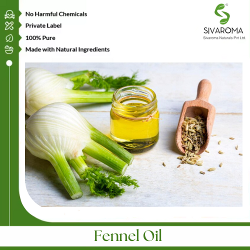 Fennel Oil - Pure Essential Oil, Clear To Pale Yellow Liquid | 100% Purity, Extracted From Foeniculum Vulgare Seeds, Aromatic Digestive Aid, Ideal For Skincare And Wellness Applications