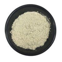 Best Viscosifier Thickener Industrial Grade Guar Gum Powder