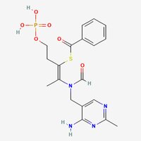 Benfotiamine .