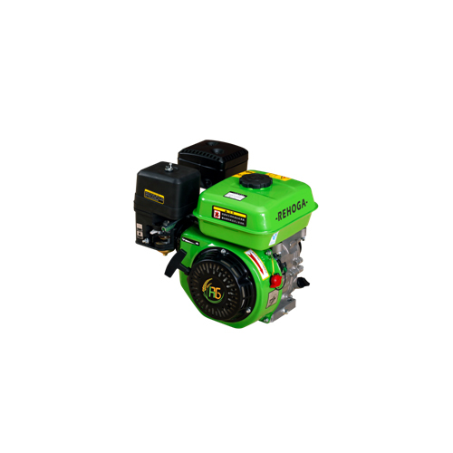 RG170 Gasoline Engine