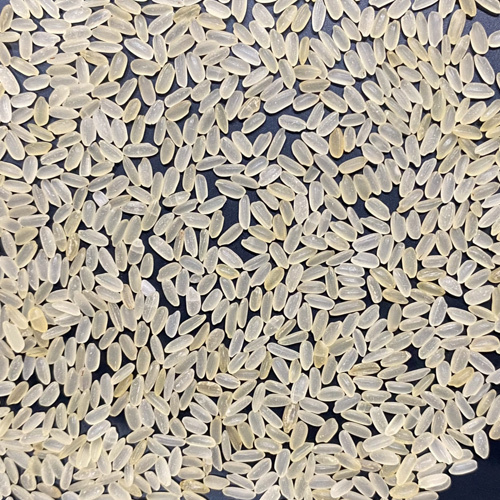 Mix Variety Golden Seela Rice