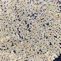 Mix Variety Golden Seela Rice