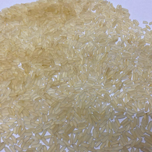 Patni Golden Seela Rice - Cultivation Type: Common