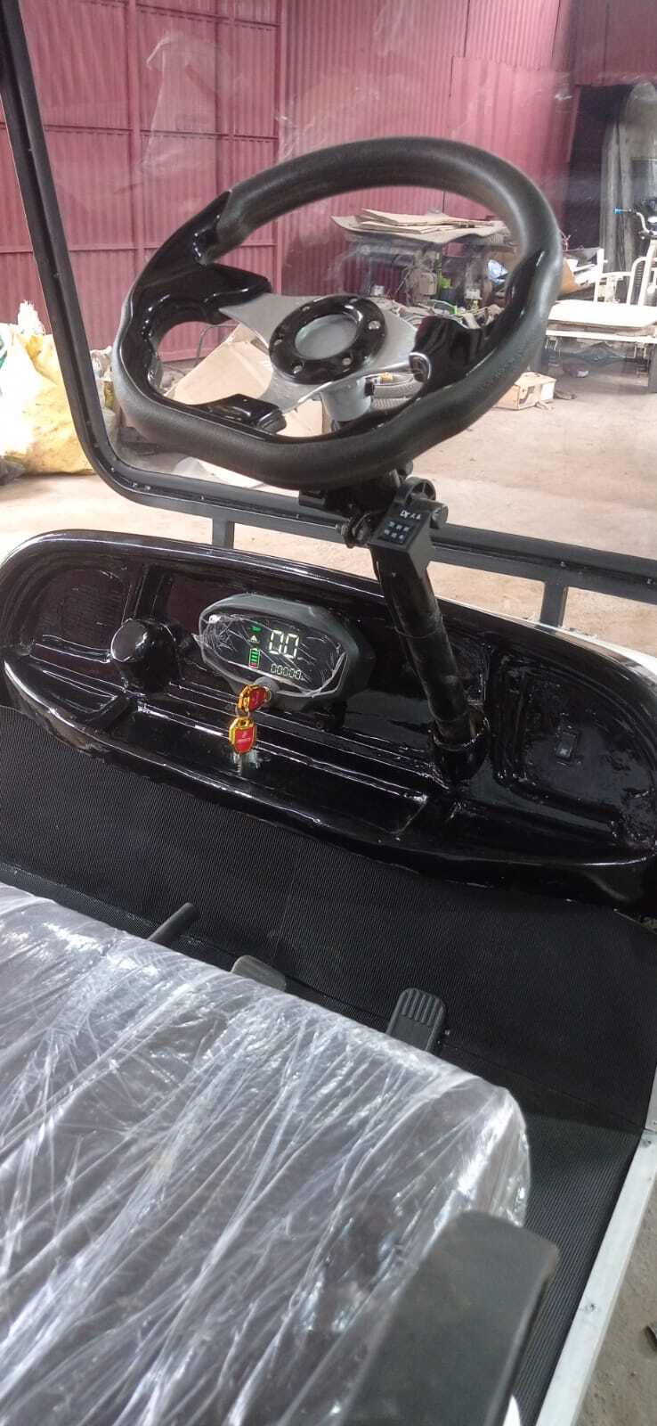 Electric Buggy