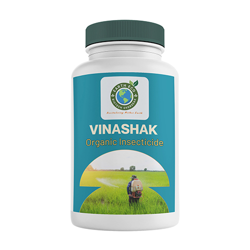 Earth Eco Vinashak