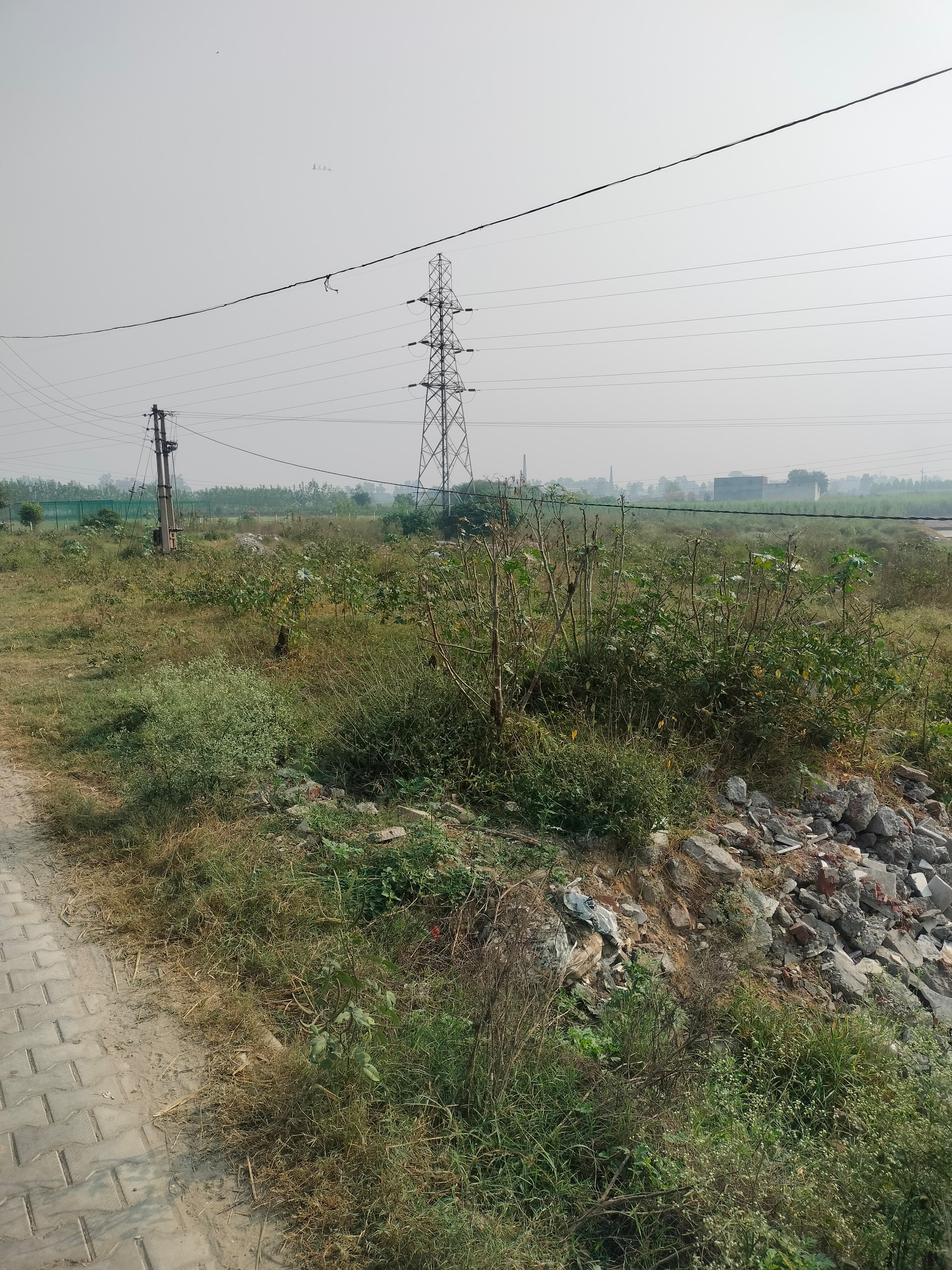 Shearing Machine - En-9 Gun Metal Brass Flywheel Shaft With 4 Square Blade Ms Body , Semi-automatic Hydraulic Control System, Grey And Red Color