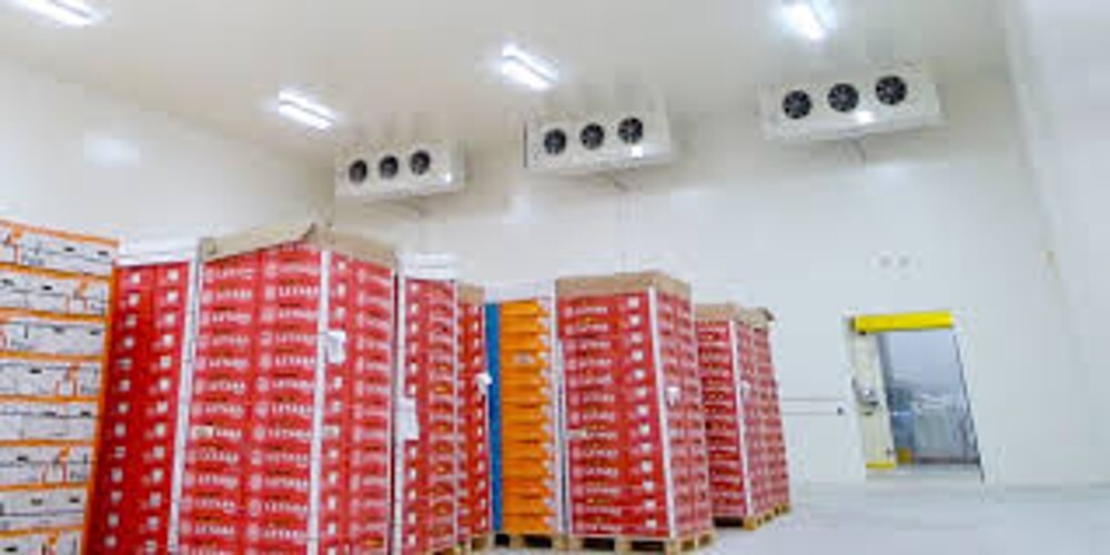Fish Storage Cold Room System - Color: As Per Availability